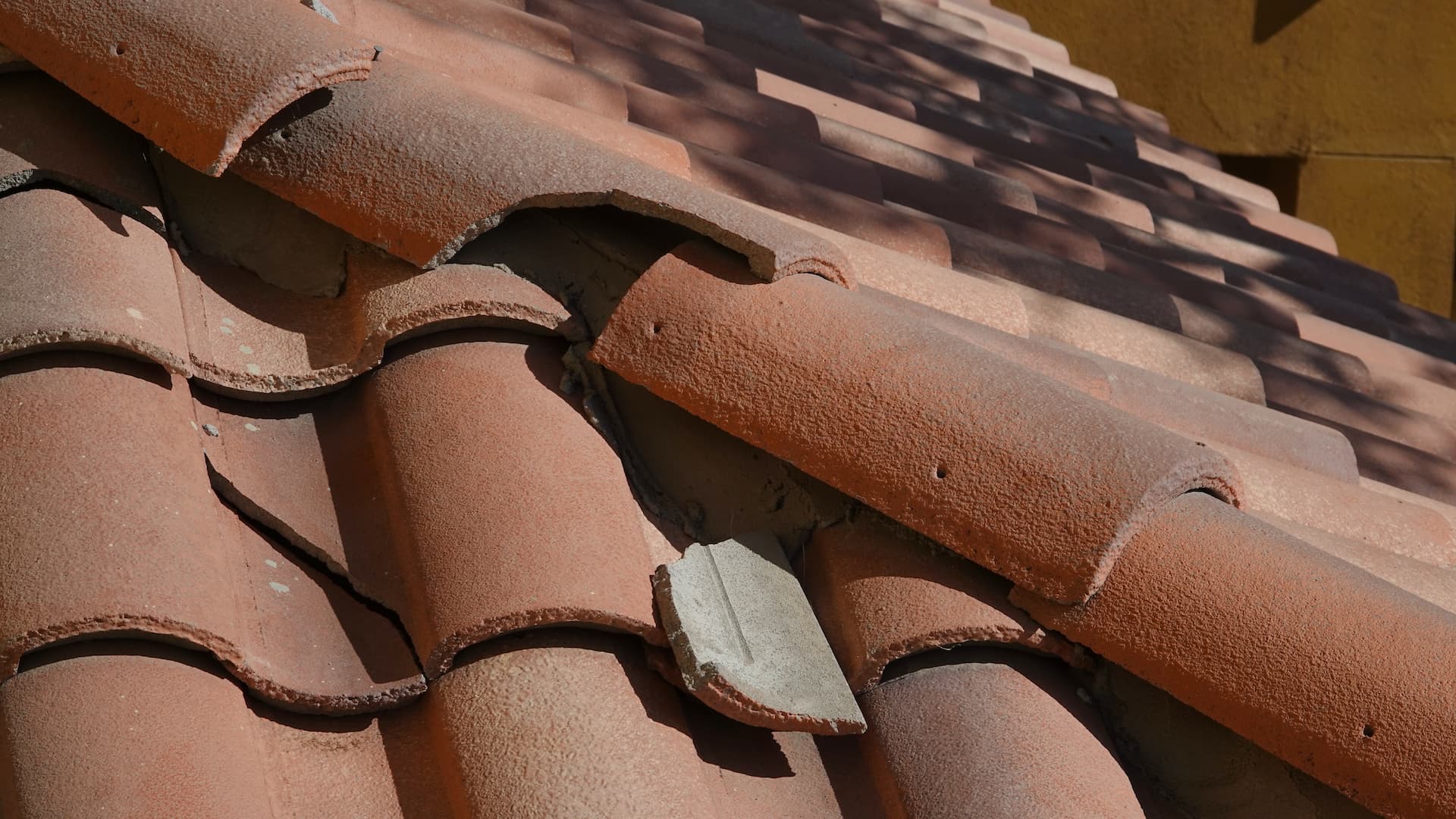 a roof that needs repairs